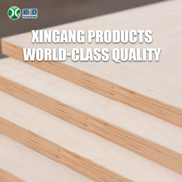 8mm birch plywood supplier in China (2) 8mm birch plywood supplier in China (2)
