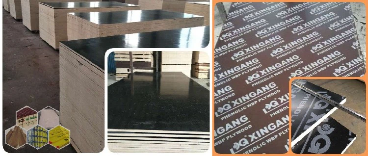XG FFP Film Surface