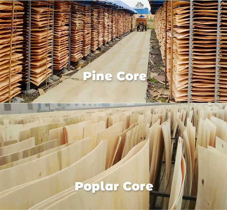 product-750-692 product-750-692