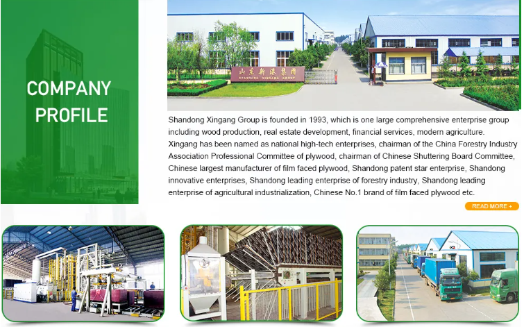company profile