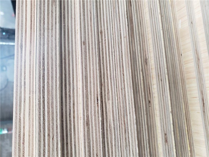 Combi Core Plywood