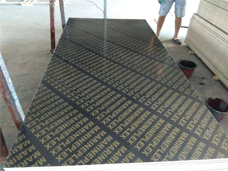 18mm Film Faced Plywood Factory in China
