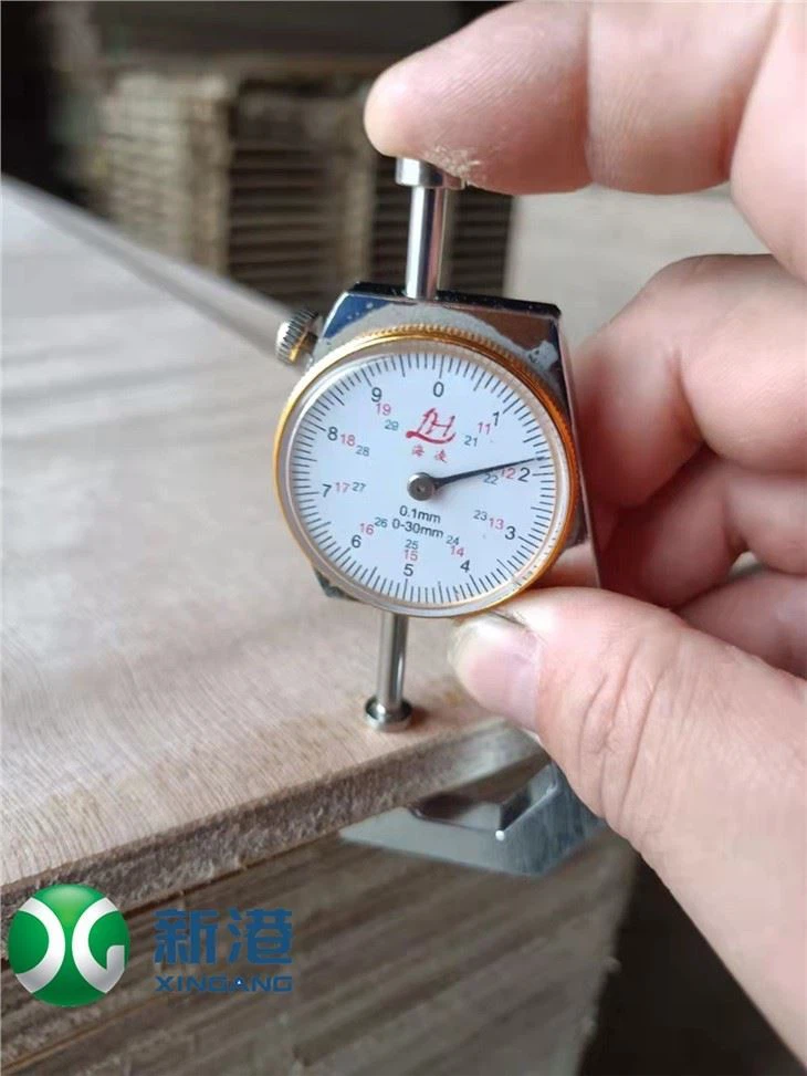 9mm 12mm 15mm 18mm 21mm Top Quality Plywood For Furniture Or Construction Hardwood Poplar Birch Plywood