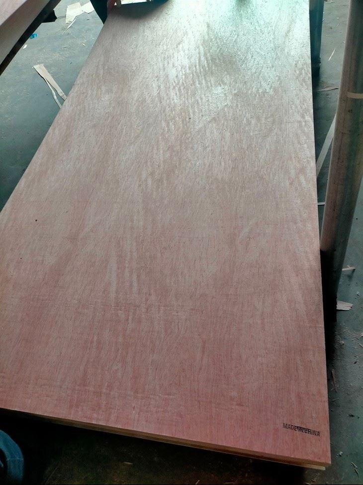 Bintangor Plywood Construction Grade