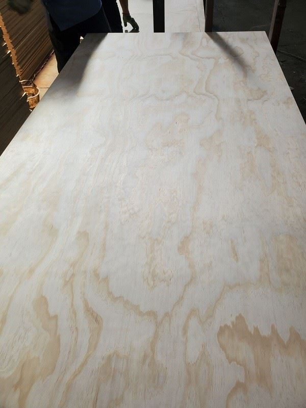 CD Pine Board