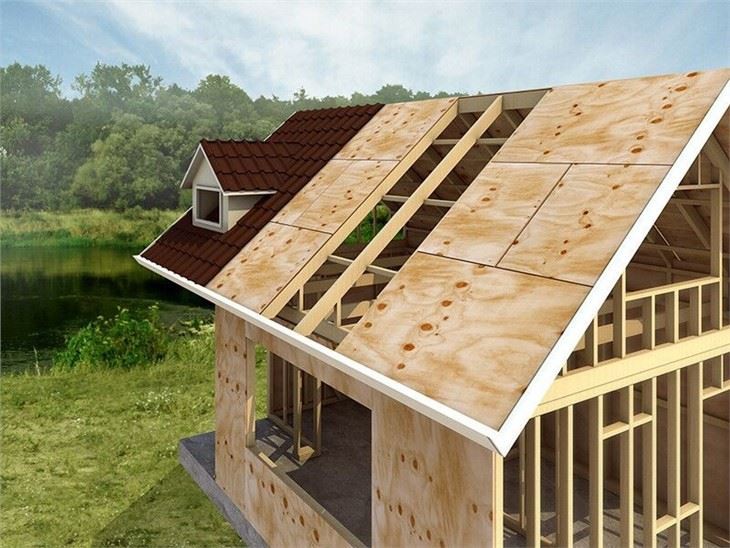 CDX Pine Plywood