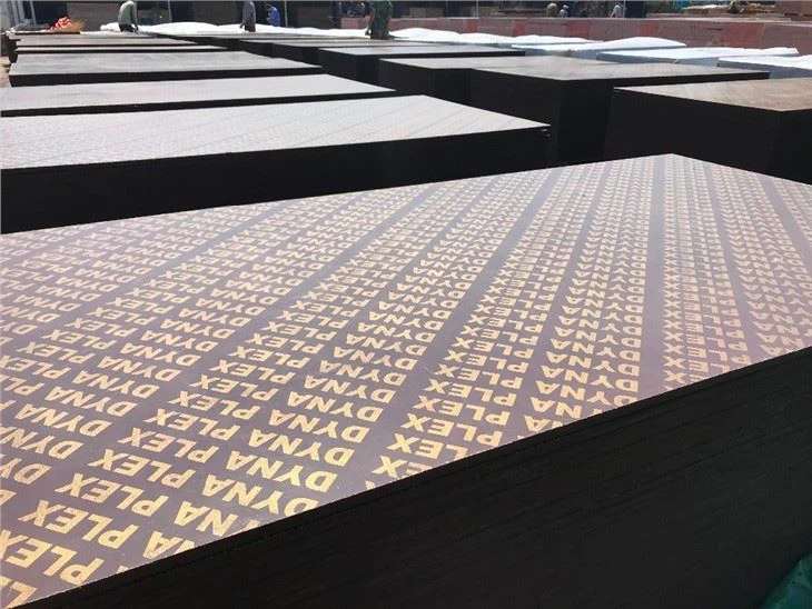 Construction Plywood Building Plywood Shuttering Plywood