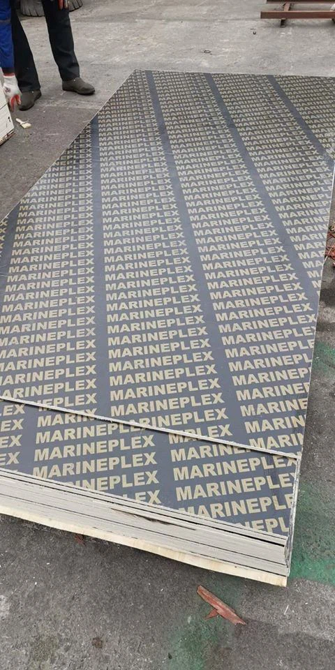 Film Faced Plywood 18mm- Made in China