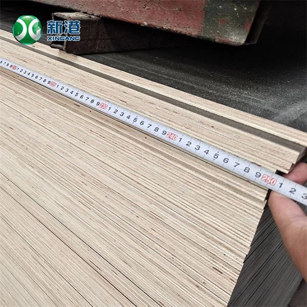 Film Faced Plywood Construction