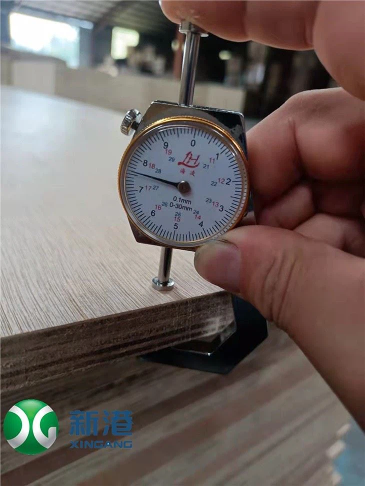 FURNITURE PLYWOOD PACKING PLYWOOD3MM 6MM 9MM 18MM