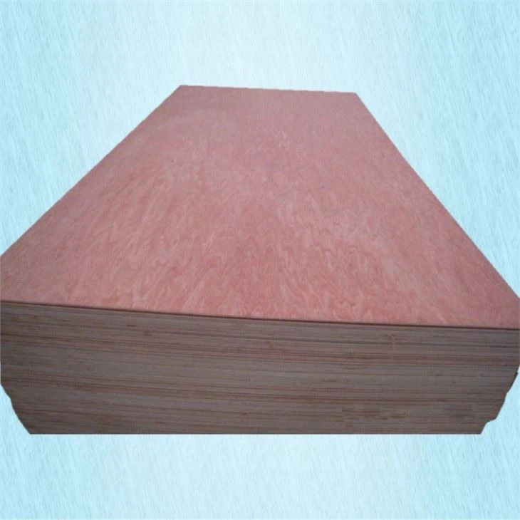 Linyi Plywood For Sale Plywood Hot Press Machine Made