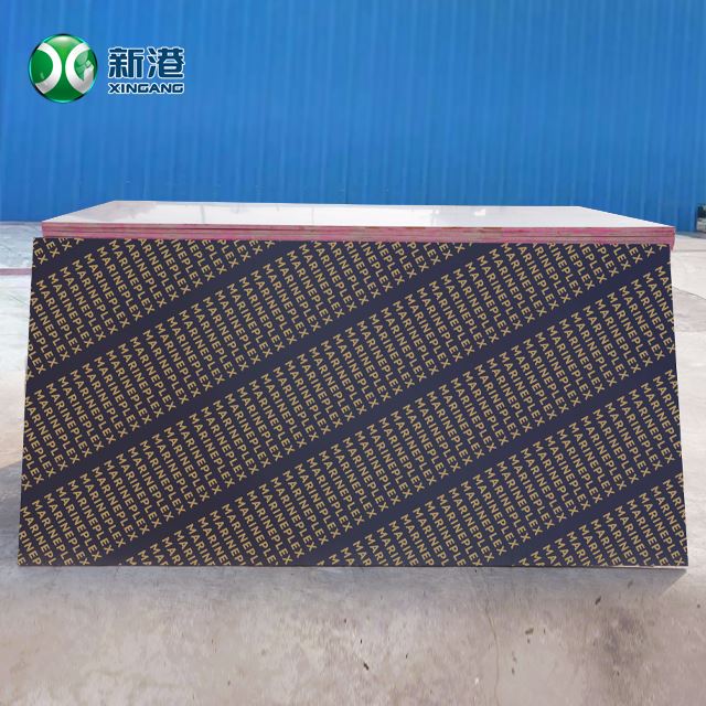 Marine Board Black Film Used 25 Times Water-proof 1220x2440 Poplar Core