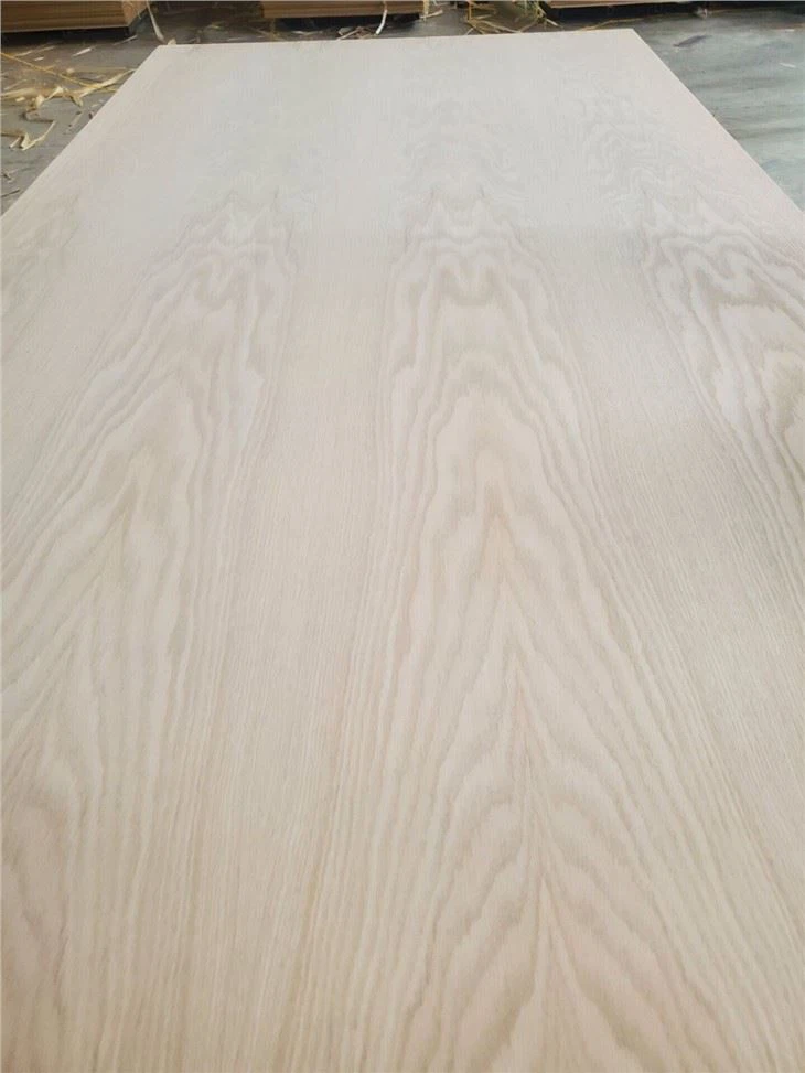 Red Oak Plywood