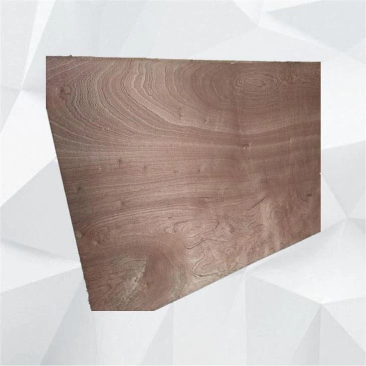Sapele Plywood Commercial Plywood High Quality With Best Price
