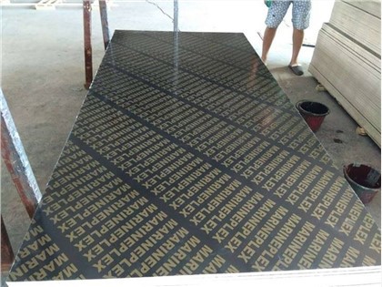 18mm Film Faced Plywood Factory in China