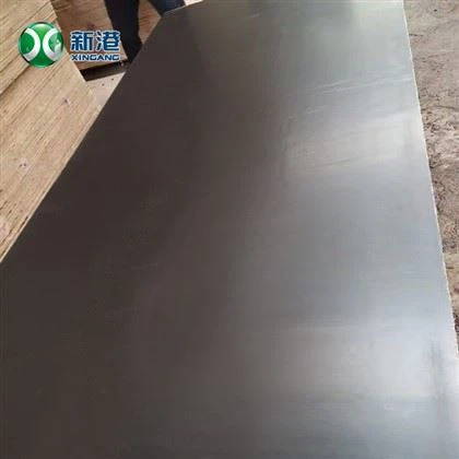 610x2500mm Film Faced Plywood