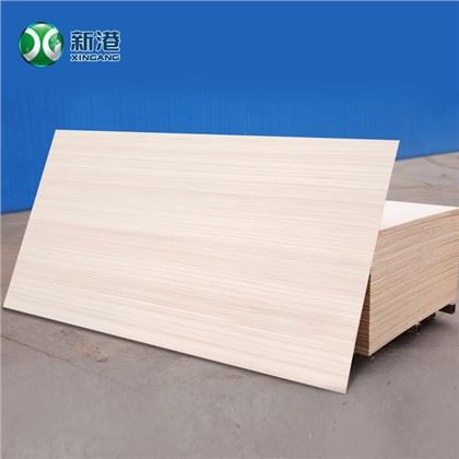 China / Furniture / Commercial Plywood