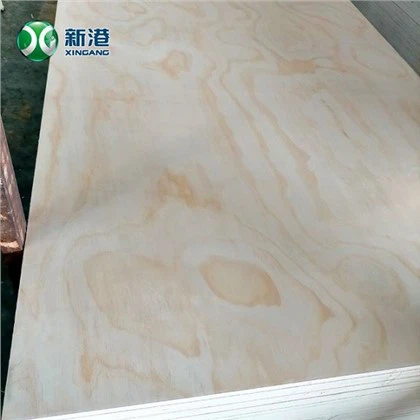 Construction Grade Structural Plywood CDX Pine