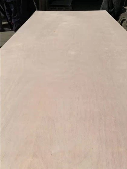 OKUME FACE/BACK COMMERCIAL PLYWOOD POPLAR CORE