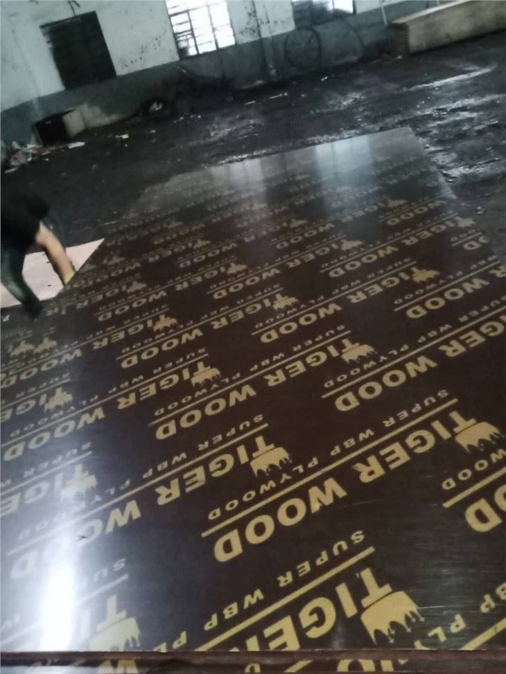 Waterproof Film Faced Plywood Laminated Formwork Plywood
