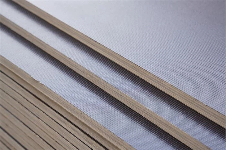 Wiremesh Film Faced Plywood Anti-slip Film Faced Plywood