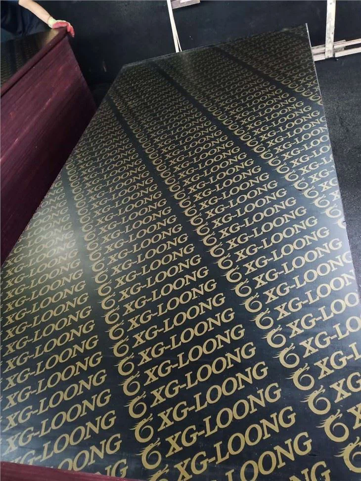Xingang Birch Film Faced Plywood