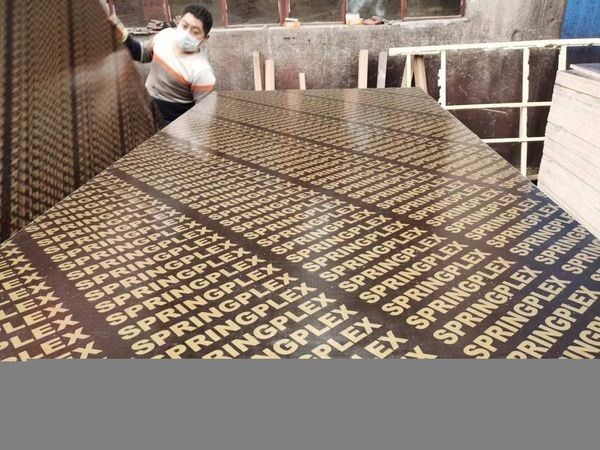 Film Faced Plywood Hardwood Core Birch Eucalyptus Poplar Core 17mm 18mm 15mm 4x8 ft Formply Building Material Waterproof