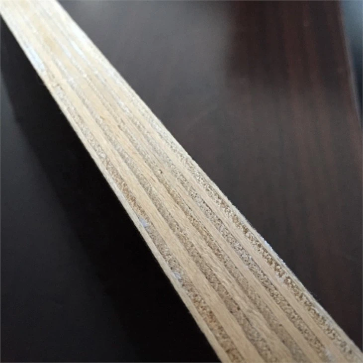 Film Faced Plywood Shuttering Plywood