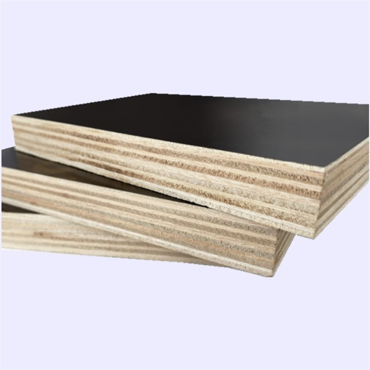 Full Poplar Core Film-Faced Plywood Linyi China Factory