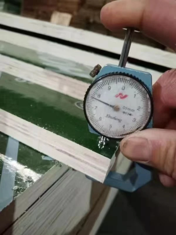 Green/blue/red Plastic Film Faced Plywood Hardwood Core For Kuwait Market Hot Sale Pvc Building Materials