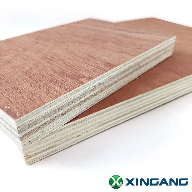 Sapele Plywood