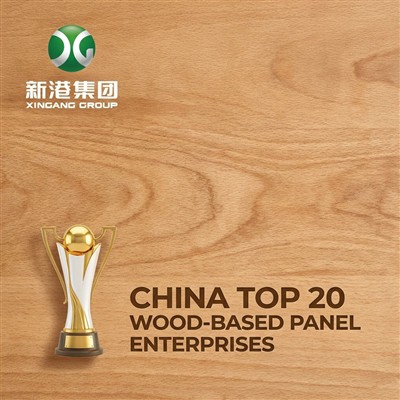 Triumphant Success! Xingang Group Wins Dual Top 10 Brands Awards