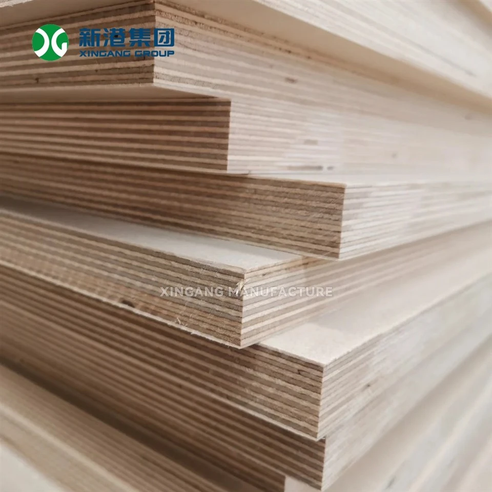 Premium Birch Plywood By Xingang Group suppliers