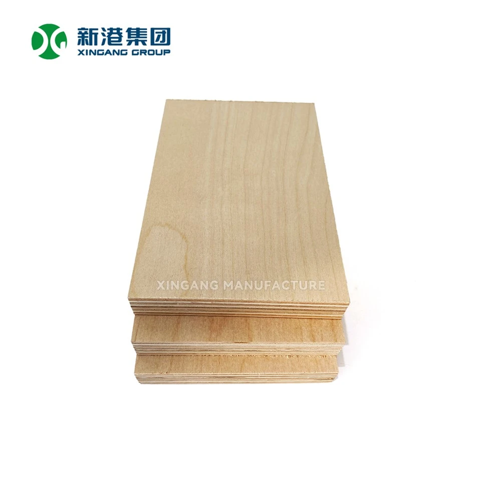 Premium Birch Plywood By Xingang Group