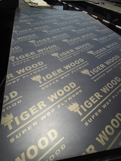 Plywood CHEAPEST PRICES