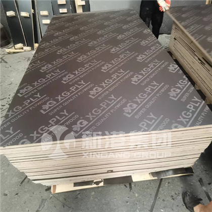 OSB20241129