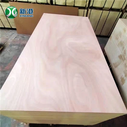 Phenolic 12mm Okoume Plywood