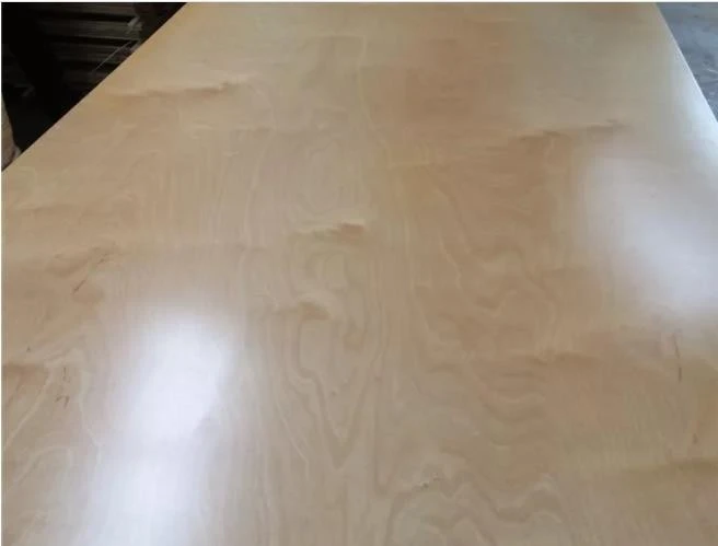 UV Coated Plywood MDF For Furniture suppliers